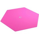Dice Tray: Hex: Black/Pink Component